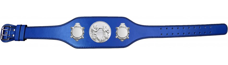 BOXING CHAMPIONSHIP BELT-BUD003/S/BOXS-4 COLOURS